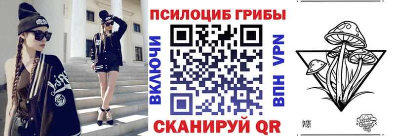 Галлюциногенные грибы Psilocybine cubensis Волчанск